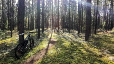 Bike leaning on a tree on a bike trail n the forest.