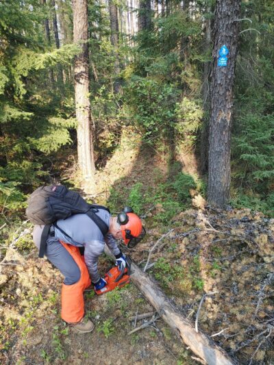 Man cutting a tree on the ground with a chainsaw.