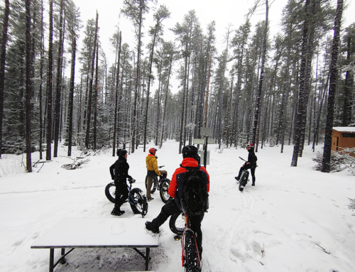 Year-Round Cycling with Boreal Cycling Club